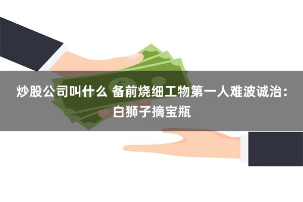 炒股公司叫什么 备前烧细工物第一人难波诚治：白狮子摘宝瓶