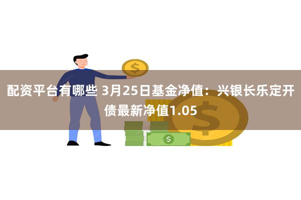 配资平台有哪些 3月25日基金净值：兴银长乐定开债最新净值1.05