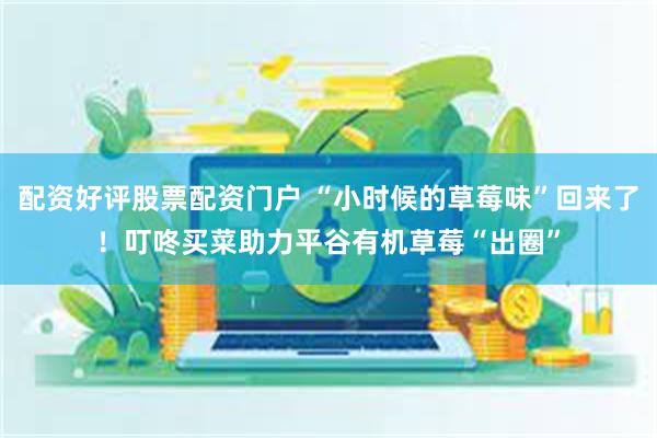 配资好评股票配资门户 “小时候的草莓味”回来了！叮咚买菜助力平谷有机草莓“出圈”