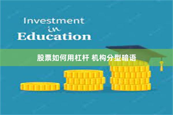 股票如何用杠杆 机构分型暗语