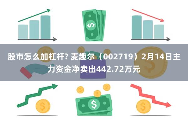 股市怎么加杠杆? 麦趣尔（002719）2月14日主力资金净卖出442.72万元