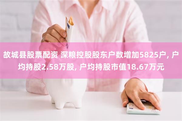 故城县股票配资 深粮控股股东户数增加5825户, 户均持股2.58万股, 户均持股市值18.67万元