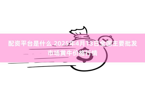 配资平台是什么 2025年4月13日全国主要批发市场黄牛价格行情