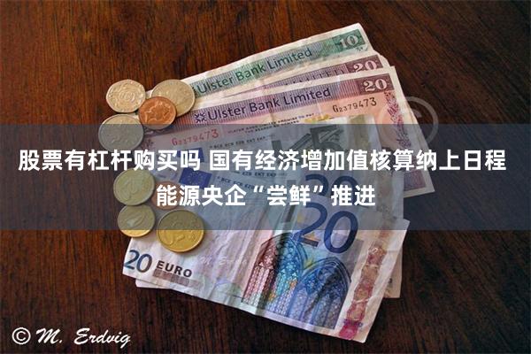 股票有杠杆购买吗 国有经济增加值核算纳上日程 能源央企“尝鲜”推进