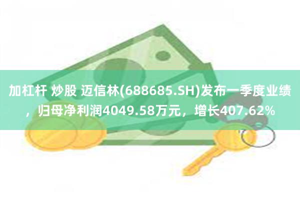 加杠杆 炒股 迈信林(688685.SH)发布一季度业绩，归母净利润4049.58万元，增长407.62%