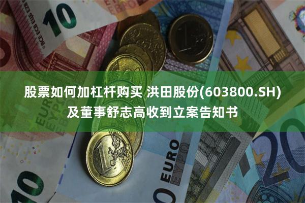股票如何加杠杆购买 洪田股份(603800.SH)及董事舒志高收到立案告知书